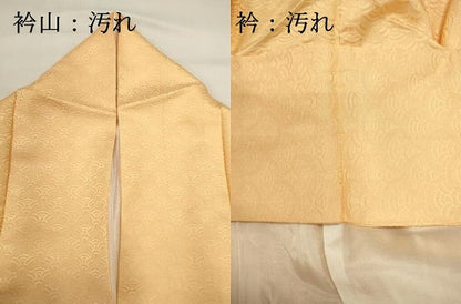 平和屋着物■上質な小紋　青海波地紋　暈し染め　正絹　逸品　DABH1884cd