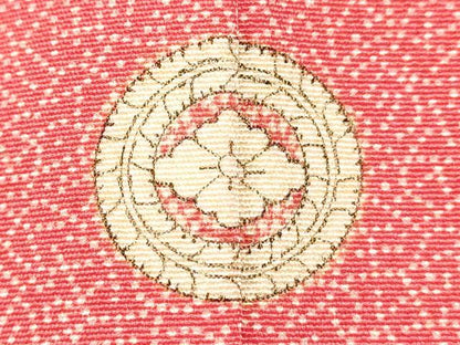 平和屋着物■江戸小紋　家内安全　正絹　逸品　DABH1911cd