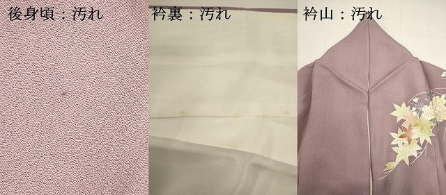 平和屋着物■訪問着　流水掛船花文　金彩　正絹　逸品　DABH1987cd