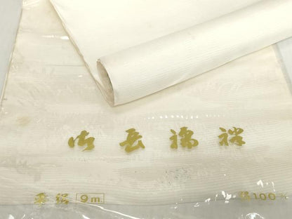 平和屋着物＊夏物　長襦袢　反物　着尺　平絽　生成り色　逸品　未使用　DABH2376zzz