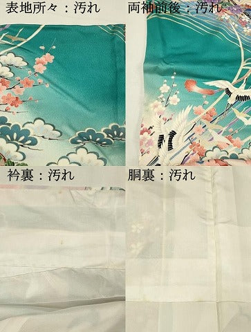 平和屋着物■豪華振袖　御所車花文　暈し染め　金彩　正絹　逸品　DABH2832qp