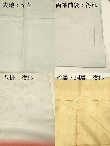 平和屋着物■訪問着　花鳥文　正絹　逸品　DABH2848qp