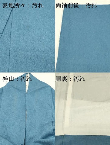 平和屋着物■上質な色無地　作家物　寿光織　薄縹色　証紙付き　正絹　逸品　DABH2852qp