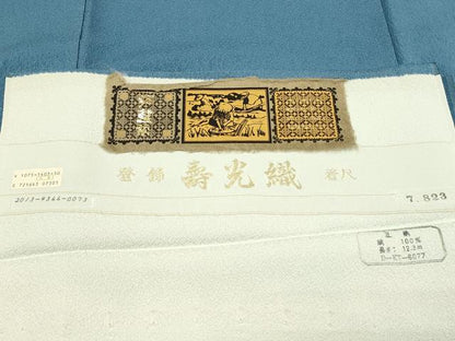平和屋着物■上質な色無地　作家物　寿光織　薄縹色　証紙付き　正絹　逸品　DABH2852qp