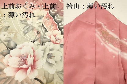 平和屋着物■訪問着　花蝶文　暈し染め　金彩　ロング丈　正絹　逸品　DABH3012qp