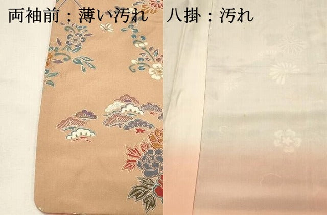 平和屋着物■訪問着　花蝶文　暈し染め　金彩　正絹　逸品　DABH3020qp