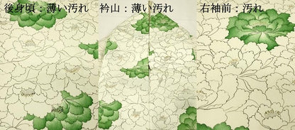 平和屋着物■上質な小紋　牡丹尽くし　金彩　正絹　逸品　DABH3037qp