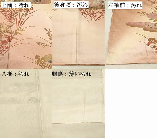 平和屋着物■訪問着　刺繍　エ霞花文　白鷺　暈し染め　金彩　正絹　逸品　DABH3041qp