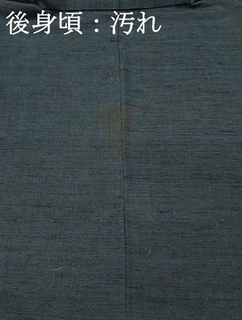 平和屋着物■男性　紬　藍鉄色　正絹　逸品　DABH3043qp