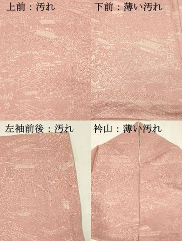 平和屋着物■上質な小紋　風景花文　正絹　逸品　DABH3062qp