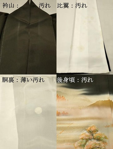 平和屋着物■豪華黒留袖　作家物　飛鳥の里　暈し染め　金彩　正絹　逸品　DABH3107qp