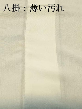 平和屋着物■上質な小紋　間道　正絹　逸品　DABH3121qp
