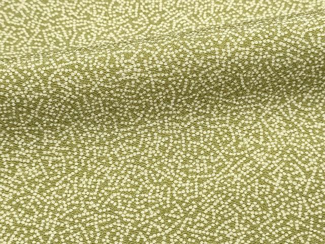 平和屋着物■江戸小紋　開運長寿　正絹　逸品　DABH3122qp