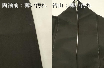 平和屋着物■豪華黒留袖　作家物　鴛鴦花文　金彩　正絹　逸品　DABH3152qp
