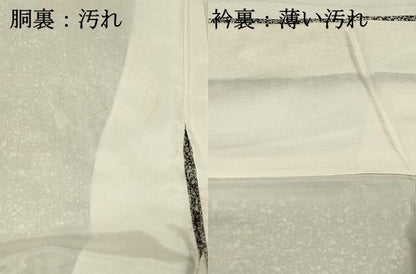 平和屋着物■訪問着　冊子花松文　枝梅　たたき染め　金彩　正絹　逸品　DABH3285qp