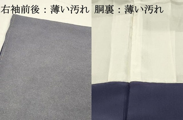 平和屋着物■江戸小紋　鮫小紋柄　正絹　逸品　DABH3373qp