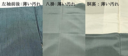 平和屋着物■上質な紬　霞文　御召御納戸色　正絹　逸品　DABH3470qp