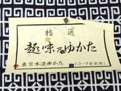 平和屋着物＊夏物　浴衣　反物　着尺　注染　東京本染　抽象文様　コーマ糸使用　綿　逸品　未使用　DABH3613zy