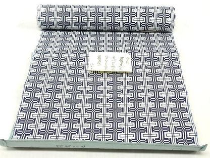 平和屋着物＊夏物　浴衣　反物　着尺　注染　格幾何学間道　綿　逸品　未使用　DABH3856zy