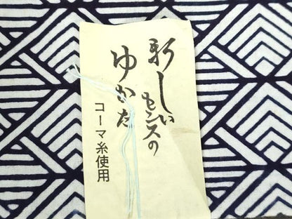 平和屋着物＊夏物　浴衣　反物　着尺　注染　東京本染　幾何学文　綿　逸品　未使用　DABH3861zy