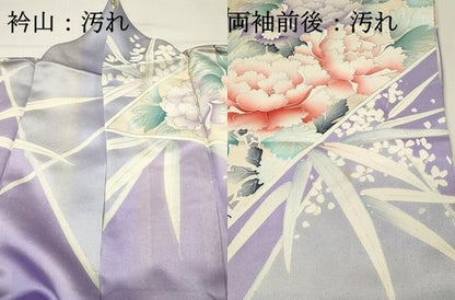 平和屋着物■豪華振袖　牡丹　銀彩　正絹　逸品　DABH4046qp