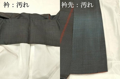 平和屋着物■本場大島紬　100亀甲　総詰め　間道　正絹　逸品　DABH4052qp