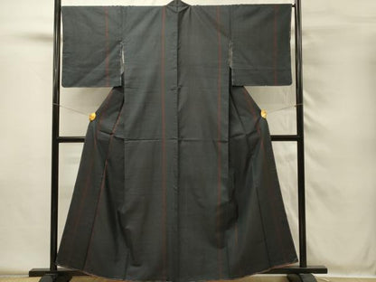 平和屋着物■本場大島紬　100亀甲　総詰め　間道　正絹　逸品　DABH4052qp