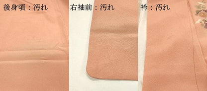 平和屋着物■訪問着　草花文　白鷺　暈し染め　金彩　正絹　逸品　DABH4053qp