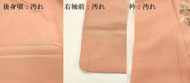 平和屋着物■訪問着　草花文　白鷺　暈し染め　金彩　正絹　逸品　DABH4053qp