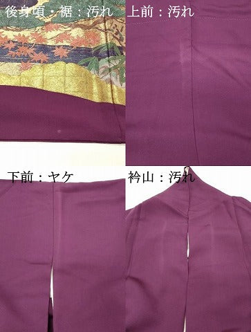 平和屋着物■豪華色留袖　寿光織　枝松花鳥文　桜　金彩　やまと誂製　正絹　逸品　DABH4060qp