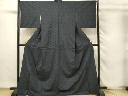 平和屋着物■上質な紬　麻の葉文様　ロング丈　正絹　逸品　DABH4202qp