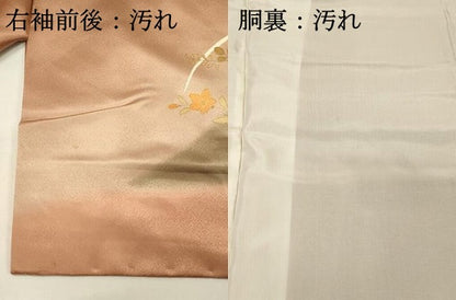 平和屋着物■訪問着　駒刺繍　草花文　暈し染め　金彩　ますいわ屋扱い　正絹　逸品　DABH4281qp