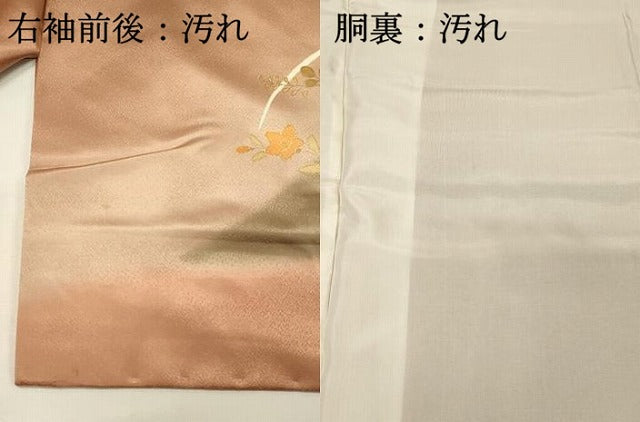 平和屋着物■訪問着　駒刺繍　草花文　暈し染め　金彩　ますいわ屋扱い　正絹　逸品　DABH4281qp