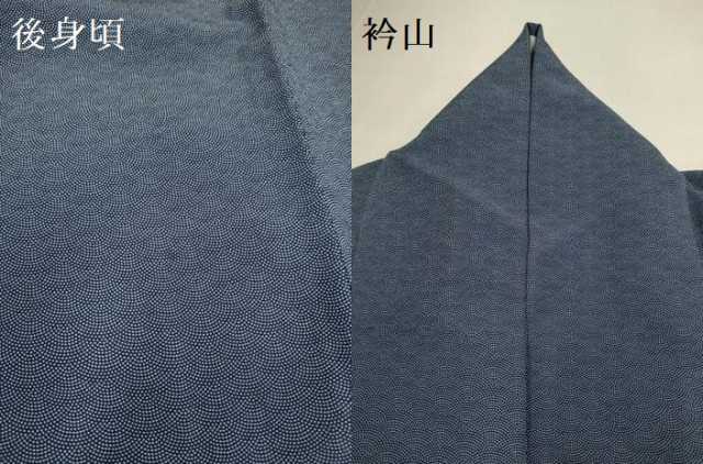 平和屋着物▽江戸小紋　単衣　鮫小紋柄　ロング丈　洗える着物　DABH4553du