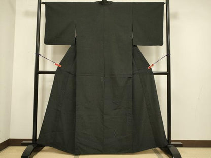 平和屋着物▽本塩沢　単衣　十字絣　黒地　正絹　逸品　DABH4651du