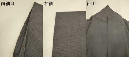 平和屋着物▽本塩沢　単衣　訪問着　舞葉文　正絹　逸品　DABH4991du