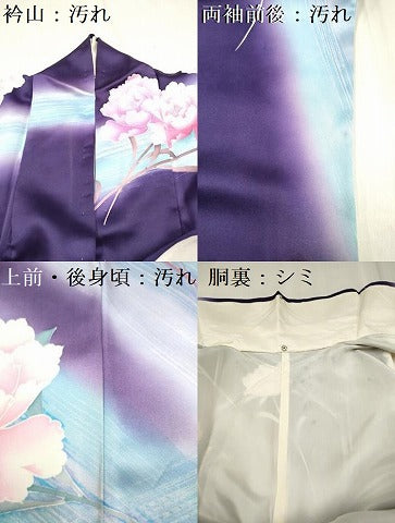 平和屋着物■豪華振袖　枝花文　暈し染め　正絹　逸品　DABH5003ea