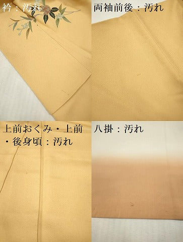 平和屋着物■訪問着　枝花文　暈し染め　金彩　正絹　逸品　DABH5021ea