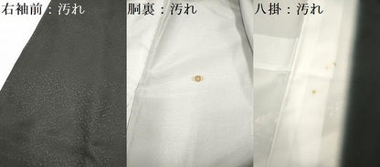 平和屋着物■訪問着　手描き　風景鳳凰花文　黒地　金彩　洗える着物　DABH5054ea