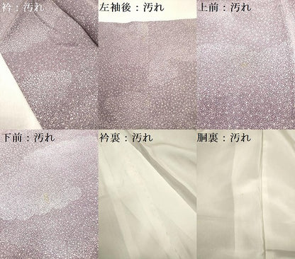平和屋着物■江戸小紋　鮫小紋柄　雲重ね　正絹　逸品　DABH5091ea