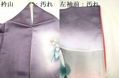 平和屋着物■訪問着　枝花文　暈し染め　正絹　逸品　DABH5110ea