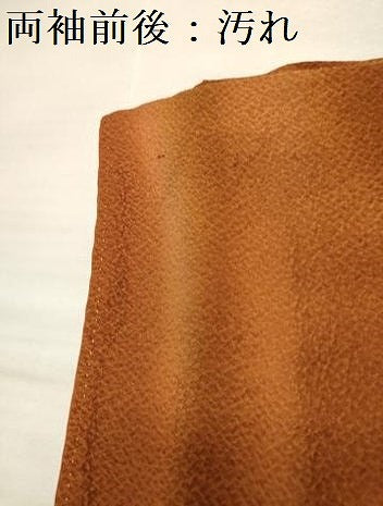 平和屋着物■上質な小紋　変わり間道　暈し染め　正絹　逸品　DABH5113ea