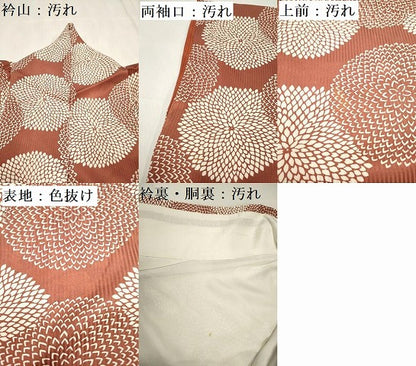平和屋着物■上質な小紋　菊尽くし　正絹　逸品　DABH5116ea