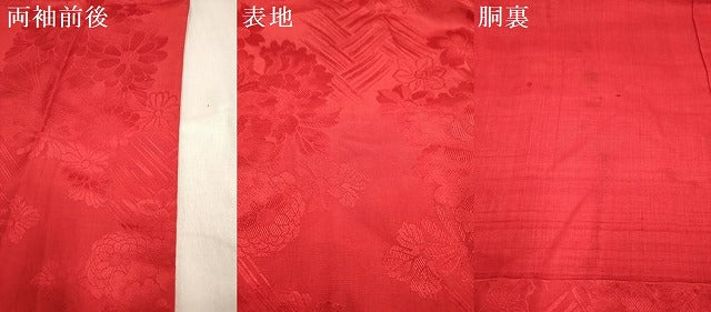 平和屋着物[]長襦袢　女の子　子供　袷　花丸地紋　猩々緋色　半衿刺繍　逸品　DABH5135ea