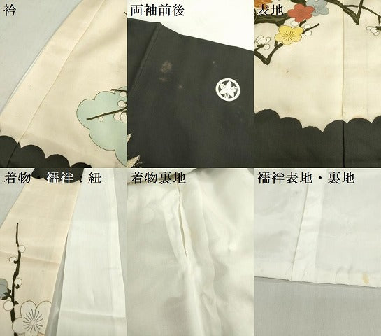 平和屋着物[]お宮参り　男の子　祝着　産着　初着　のしめ　刺繍　笹梅　群れ鶴　金彩　逸品　DABH5232ea