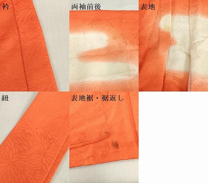 平和屋着物[]お宮参り　女の子　祝着　産着　初着　のしめ　総刺繍　くす玉花文　暈し染め　金銀糸　逸品　DABH5238ea