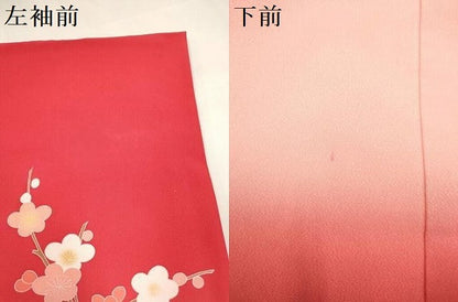 平和屋着物[]お宮参り　女の子　祝着　産着　初着　のしめ　花籠文　花車　暈し染め　金彩　逸品　DABH5252ea