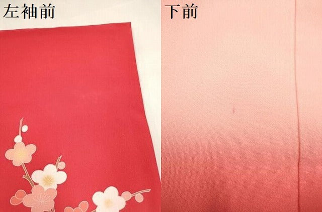 平和屋着物[]お宮参り　女の子　祝着　産着　初着　のしめ　花籠文　花車　暈し染め　金彩　逸品　DABH5252ea