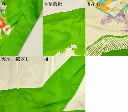 平和屋着物[]お宮参り　女の子　祝着　産着　初着　のしめ　駒刺繍　冊子花文　金彩　逸品　DABH5302ea