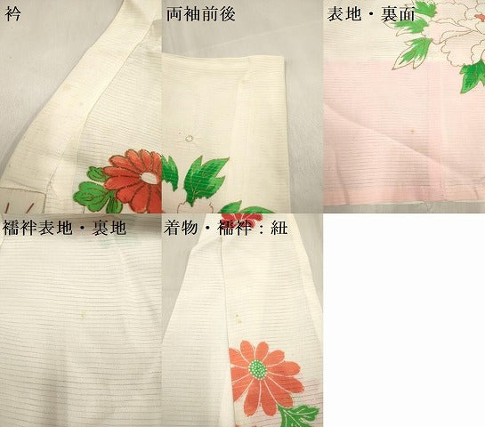 平和屋着物＊夏物　お宮参り　女の子　祝着　産着　初着　のしめ　絽　朱雀牡丹菊文　金彩　逸品　DABH5307ea
